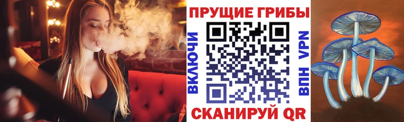 Галлюциногенные грибы Cubensis  blacksprut   Каргополь 