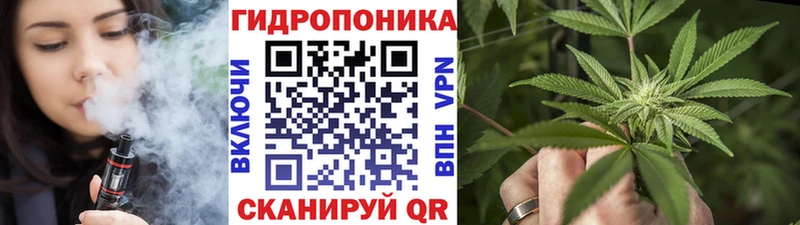 Бошки Шишки VHQ  площадка состав  Каргополь 